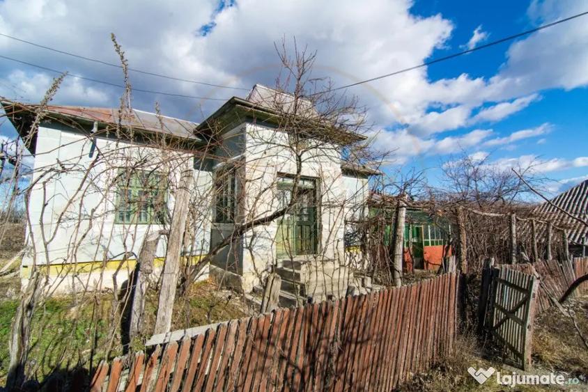 Casă cu 3 camere cu Teren 4145 Mp în Vedea