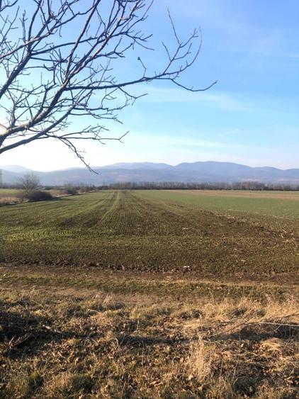 Teren Construcții de 8100 mp, în Vințu de Jos