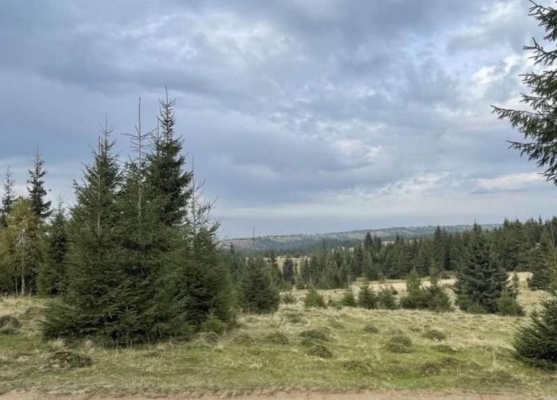 Teren de 2300 mp, în Beliș