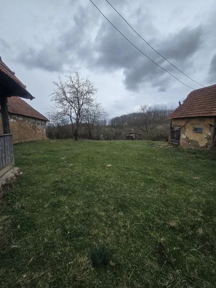 Casă cu Teren 1000 Mp în Stoieneasa