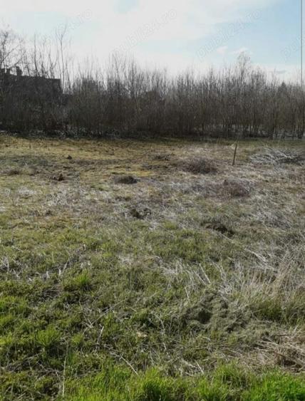 Teren de 1290 mp, în Turnu