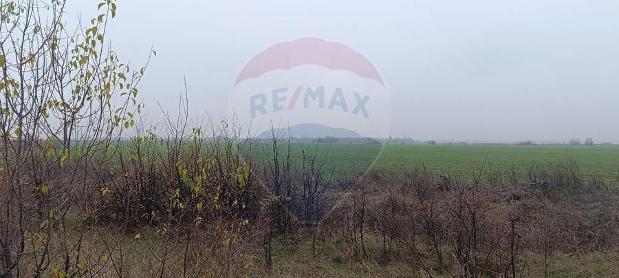 Teren extravilan de 5000 mp, în Balotești