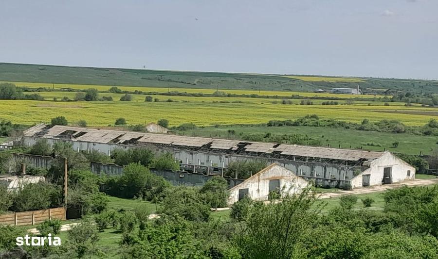 Fost Complex Zootehnic 8.4 Ha Oportunitate Investi?ie in Izvoru, Arge? - 7