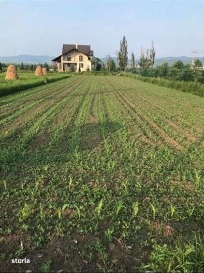 Teren de 1250 mp, în Central