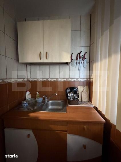 Apartament cu 3 camere decomandat în Lăpuș Argeș