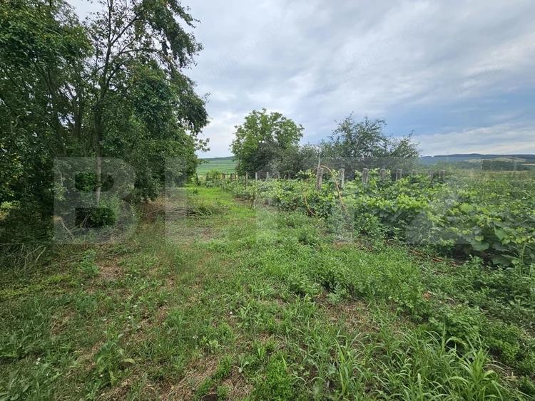 Casă cu 3 camere cu Teren 2698 Mp în Cistei