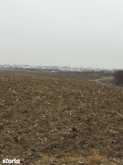 Teren de 1500 mp, în Hemeiuș