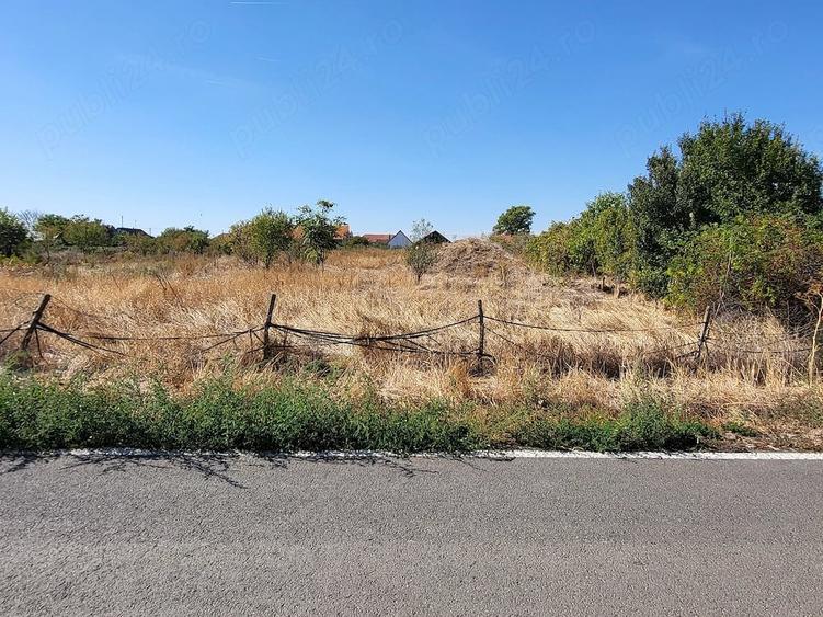 Teren de 1400 mp, în Teremia Mică