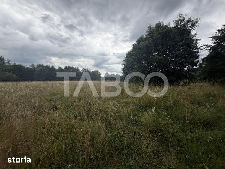Teren de 6000 mp, în Recea
