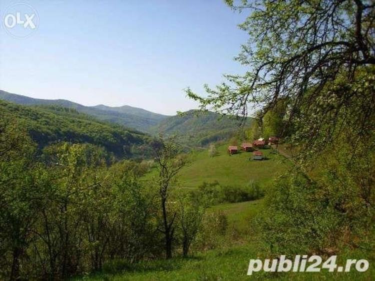 Teren de 18000 mp, în Moneasa