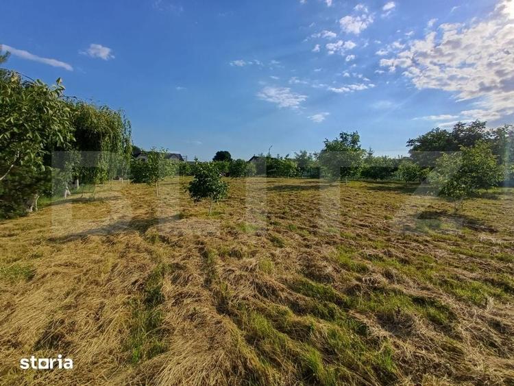 Teren intravilan 60 ari cu iaz si cabana, zona Ilisesti - 5