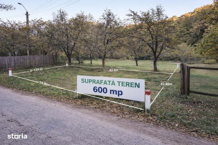 Teren intravilan 600 mp, liziera padurii, Balotesti, Posibilitate casa - 3