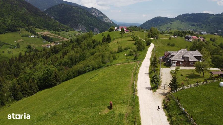 Teren intravilan 4.151 mp in Pe?tera (Moeciu), Proiect DTAC inclus - 8