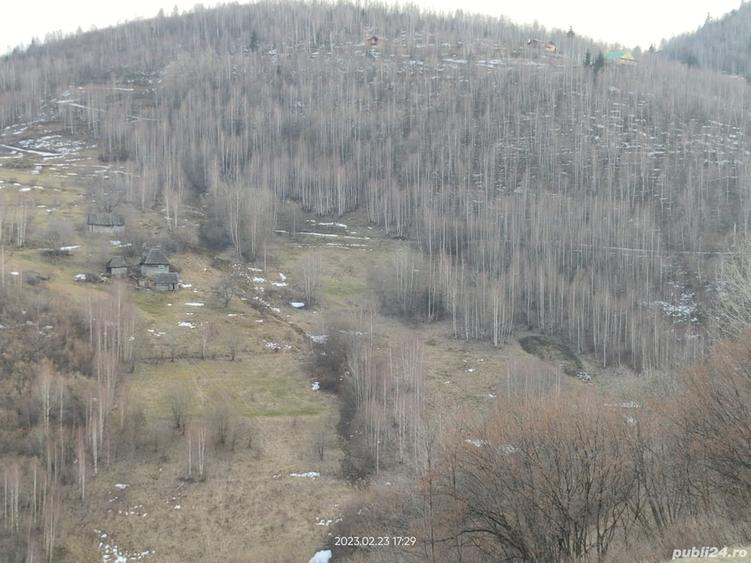 Teren de 15000 mp, în Plopi