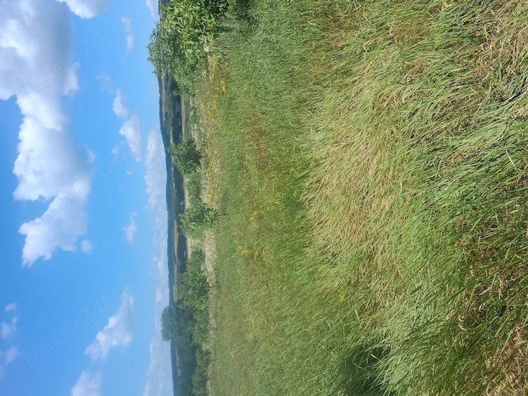 Teren de 70 mp, în Zvoriștea