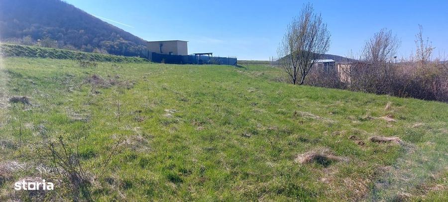 Teren de 1500 mp, în Poplaca