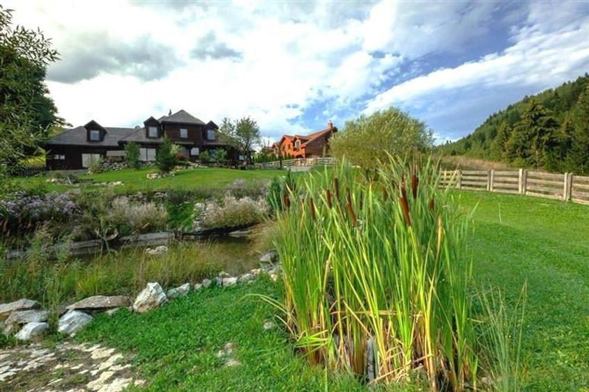 Teren Construcții intravilan de 60000 mp, în Peștera