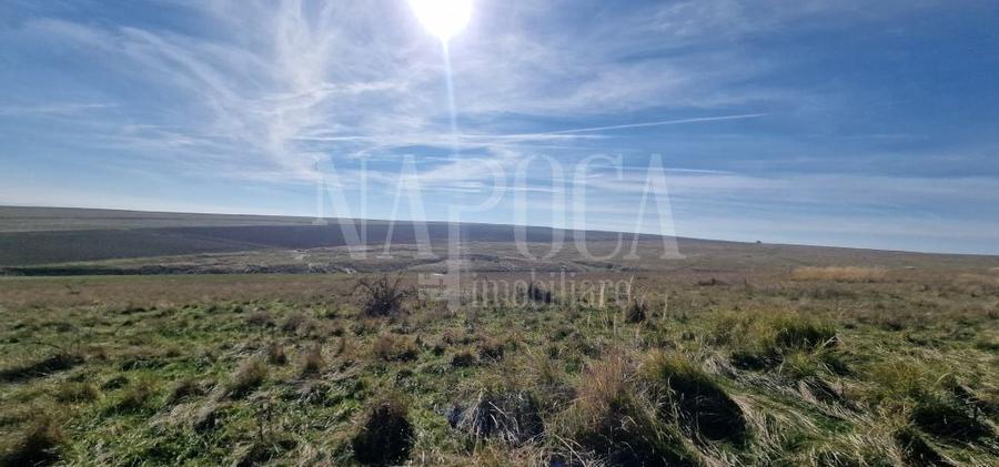 Teren agricol extravilan de 493170 mp, în Iris