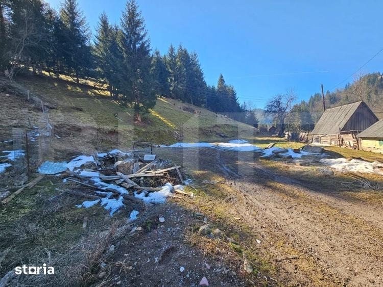 Teren de 2977 mp, în Scărișoara