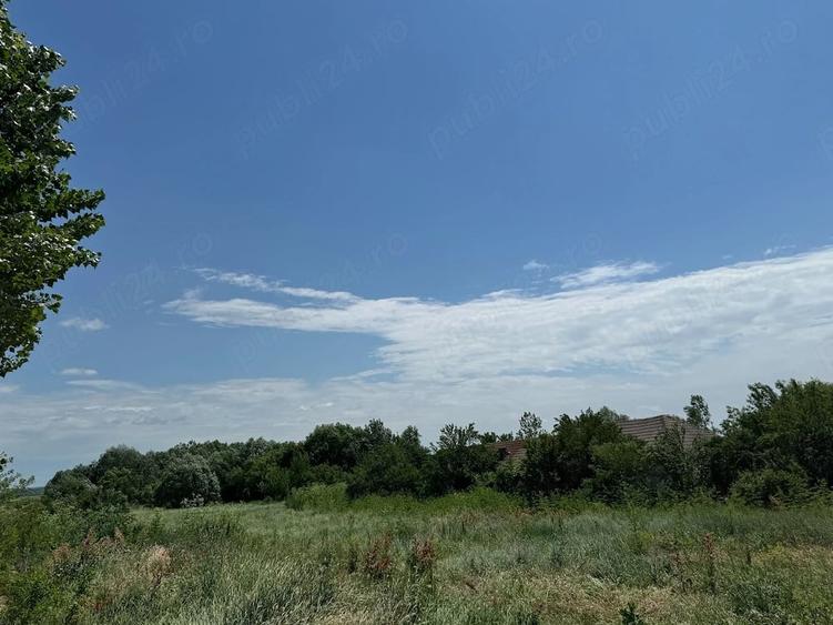 Teren de 2400 mp, în Podari