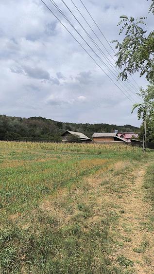 Teren de 6720 mp, în Vețișoara