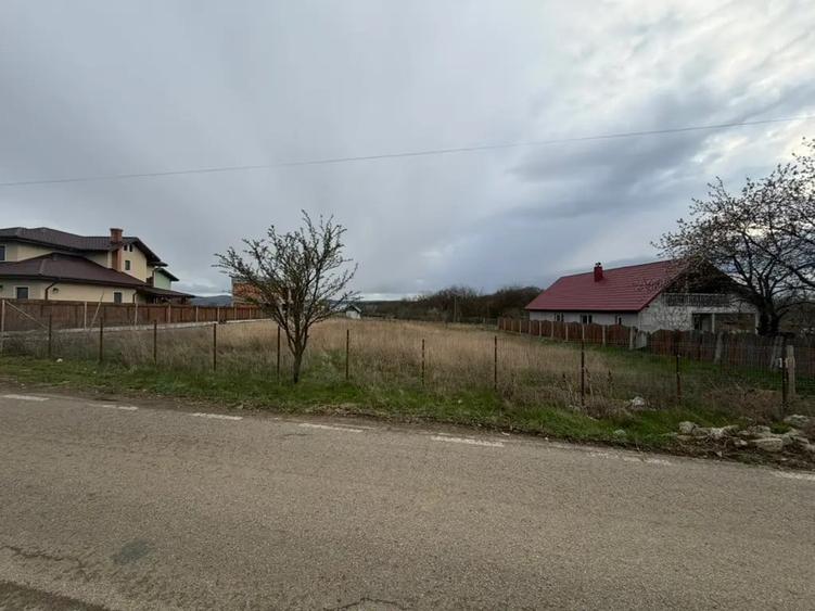 Teren de 1000 mp, în Ciurbești