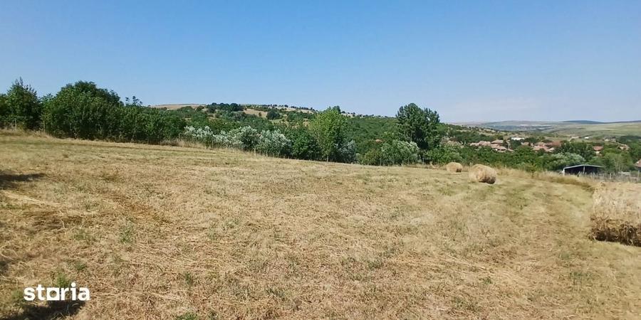Casa in Comsesti cu teren intravilan 1800mp, acces bun - 8