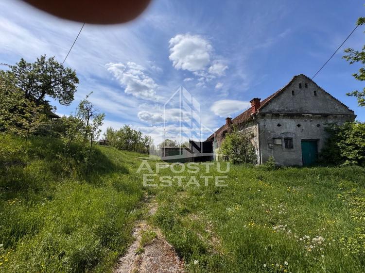 Teren Construcții intravilan de 2880 mp, în Nord