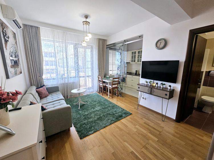 Garsoniera Baneasa Iancu Nicolae - Aleea Privighetorilor - 1