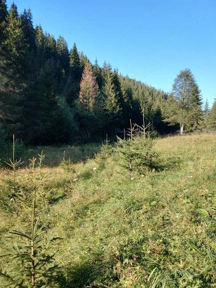 Teren de 3800 mp, în Capu Corbului