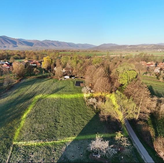 Teren Construcții intravilan de 2000 mp, în Cârnești