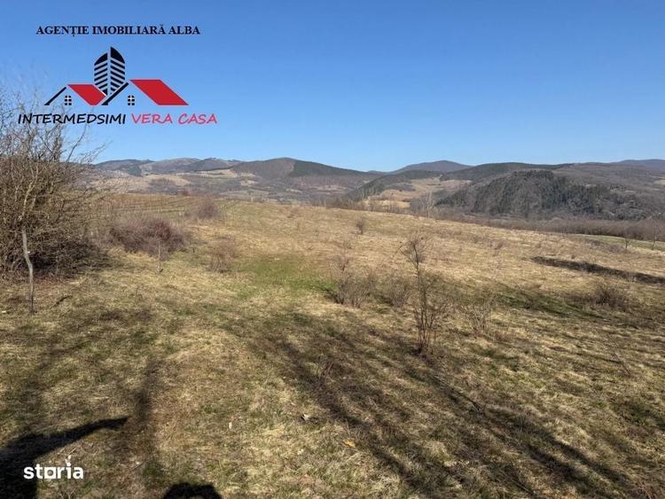 Spațiu comercial, în Pârău lui Mihai