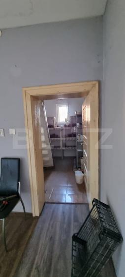 Casă individuală cu 4 camere cu Canalizare în Viișoara