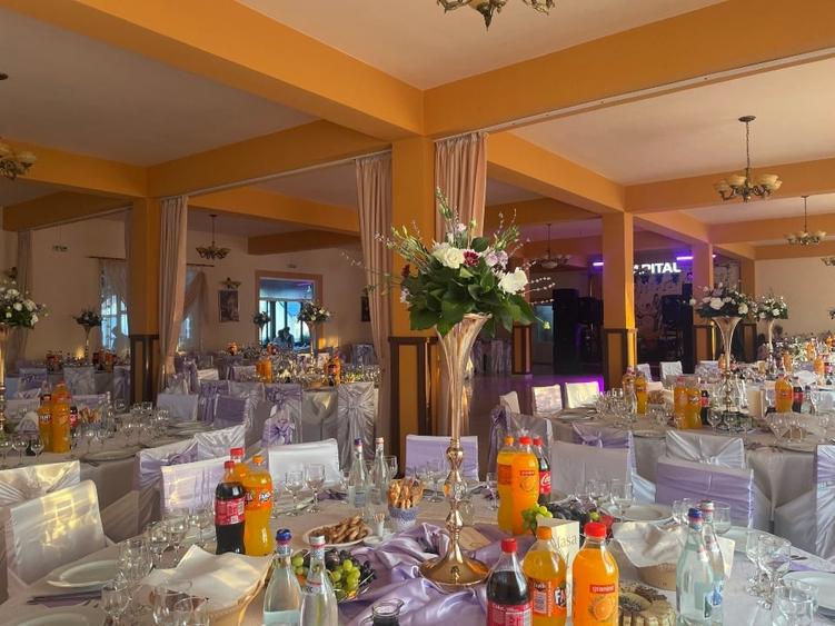 Proprietate specială, de 1,000 mp, în Chintinici
