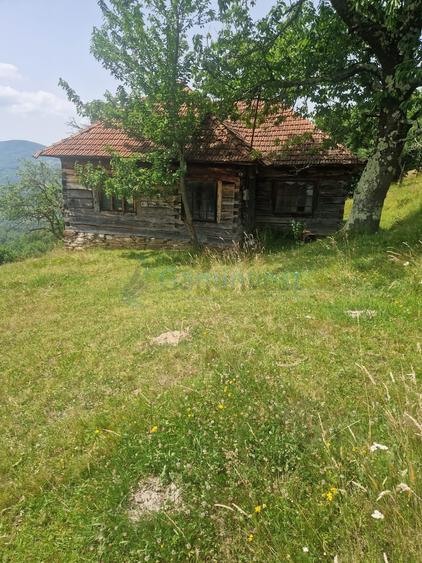 Teren agricol intravilan de 26034 mp, în Bulz