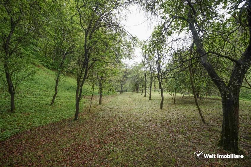 Casă individuală cu 4 camere cu Teren 4891 Mp în Stolna