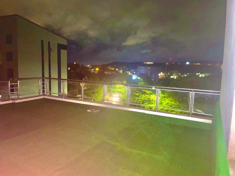 Penthouse 117 mp - 6