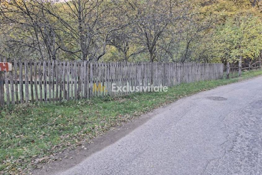 Teren Construcții intravilan de 600 mp, în Lăbușești