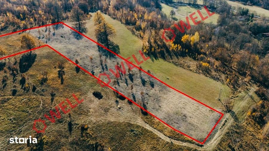 Teren de 850 mp, în Brăduț