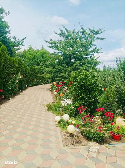 Casă cu 8 camere cu Teren 4600 Mp în Vlădeni