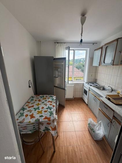 Apartament cu 2 camere semidecomandat în Cerna