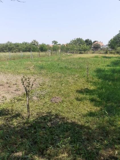 Casă individuală cu 5 camere cu Canalizare în Zăbrani