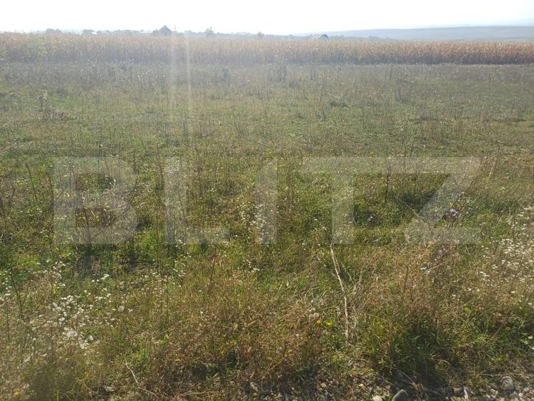 Teren Construcții extravilan de 800 mp, în Moara