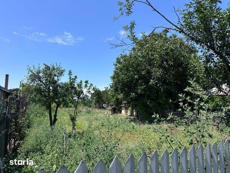 Casa, 3500mp, Ialomita- Luciu - 2