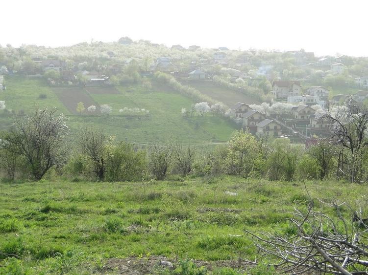 Teren intravilan , Bucium Barnova - 4