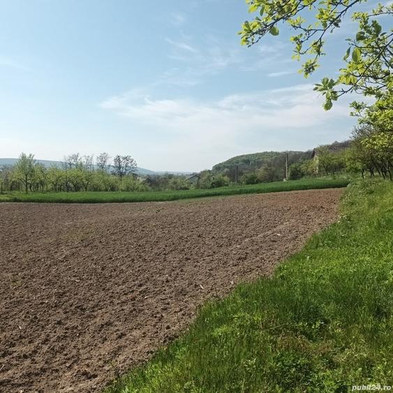 Teren în Micești