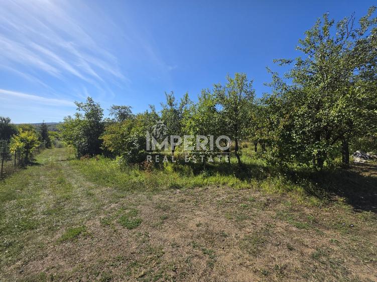 Teren Construcții intravilan de 5051 mp, în Borhanci