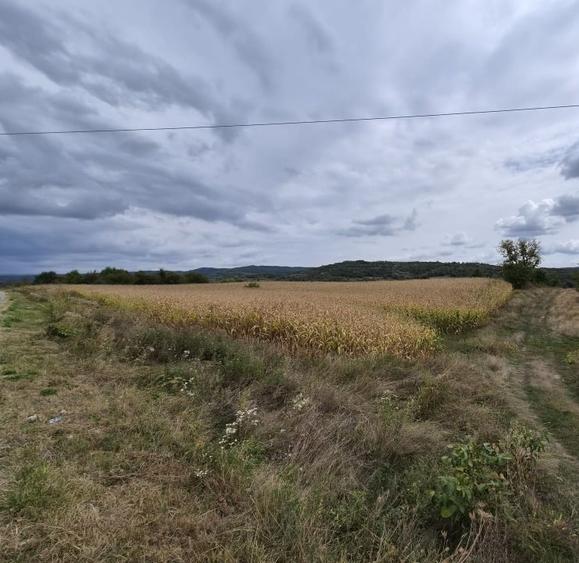 Teren Construcții intravilan de 40000 mp, în Mihăești