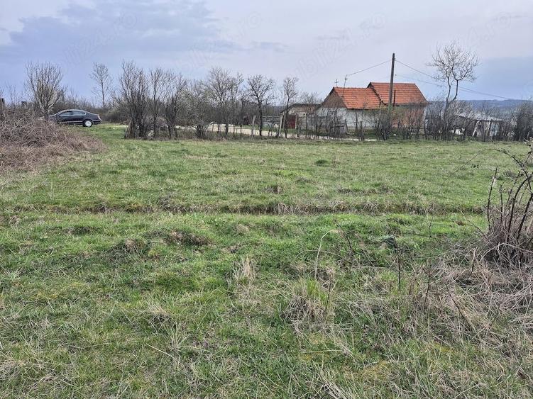 Teren de 2350 mp, în Sacoșu Mare