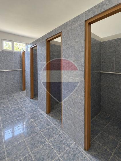 Proprietate specială, de 350 mp, în Jilava